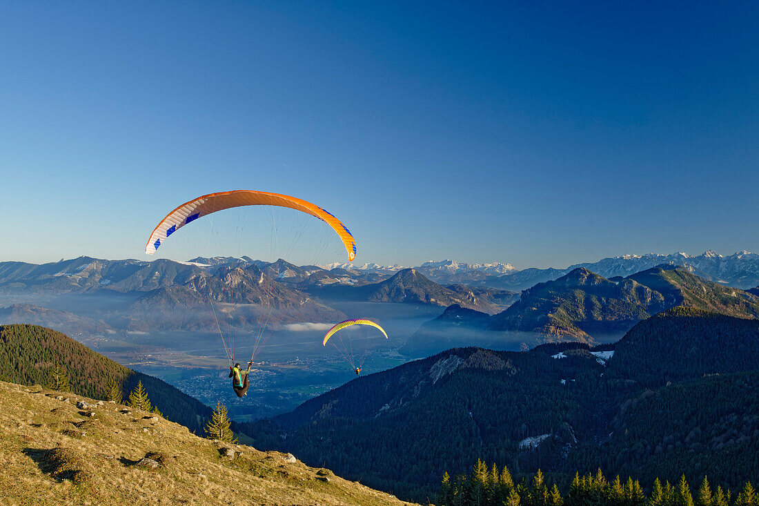 Two paragliders fly over Inn Valley with a view of Chiemgau Alps, from Farrenpoint, Mangfall Mountains, Bavarian Alps, Upper Bavaria, Bavaria, Germany