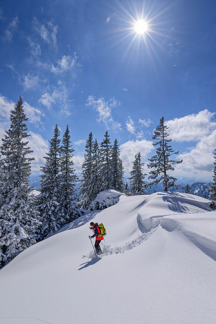 Man on ski tour descends through powder snow slope, Tanzeck, Spitzing area, Mangfall Mountains, Bavarian Alps, Upper Bavaria, Bavaria, Germany