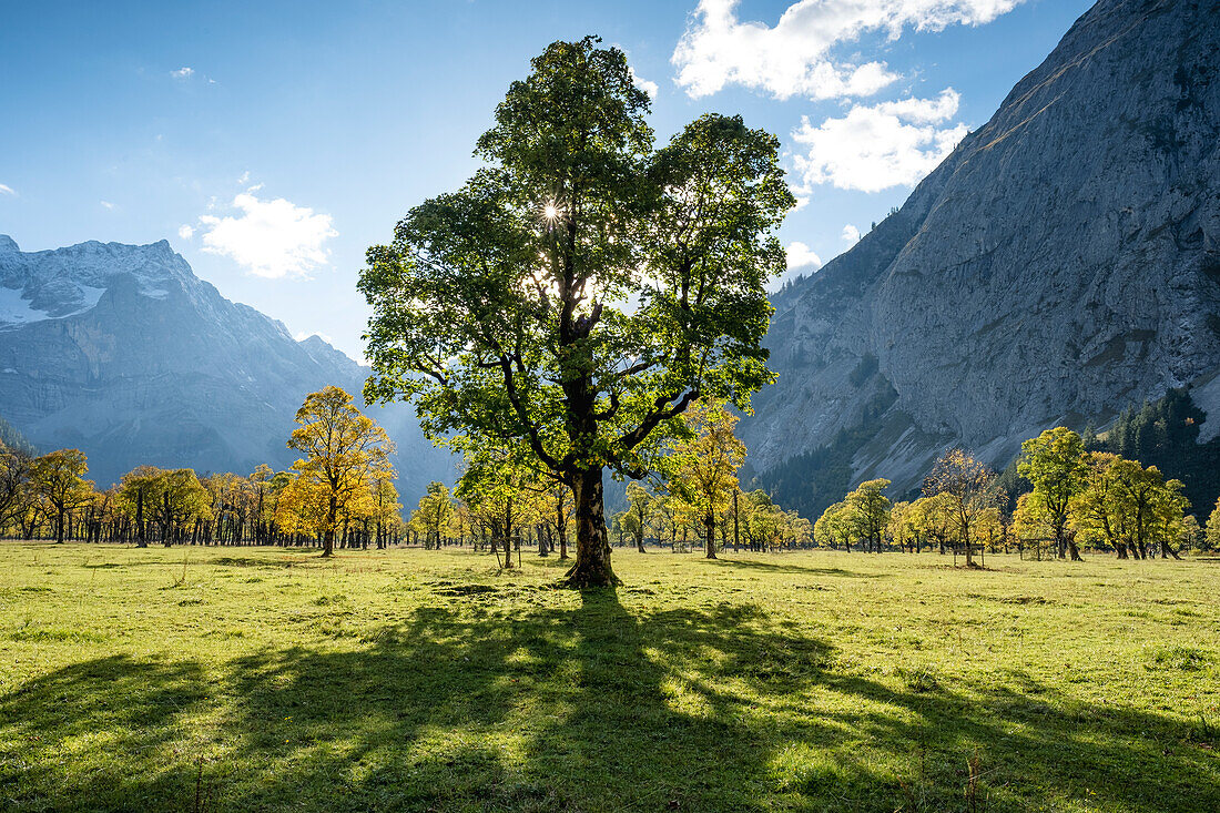 The Great Ahornboden, Karwendel, Tyrol, Austria