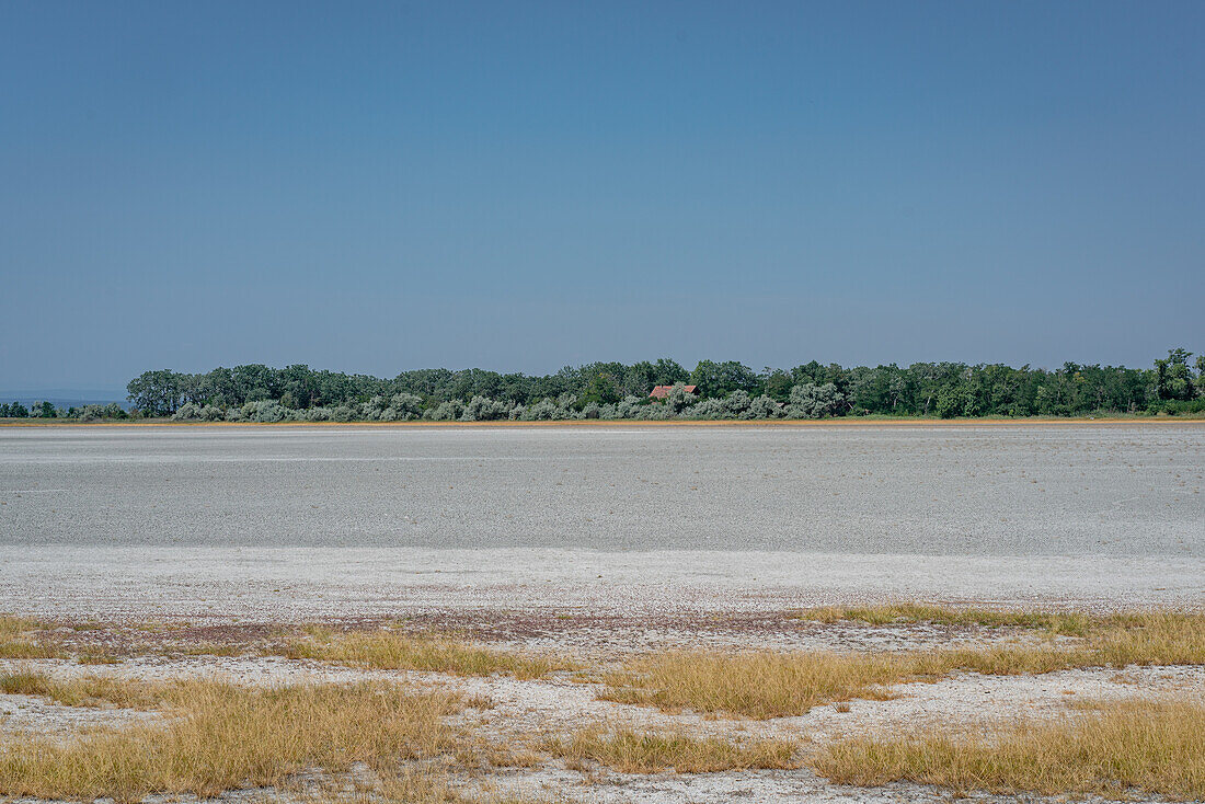 Ausgetrocknete Salzlacken im Nationalpark Seewinkel am Neusiedler See im Burgenland, Österreich