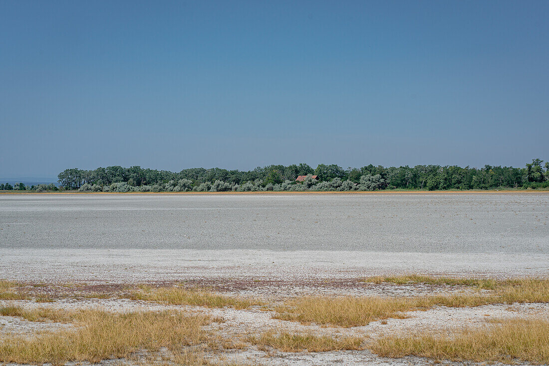 Dried out salt varnishes in the Seewinkel National Park on Lake Neusiedl in Burgenland, Austria