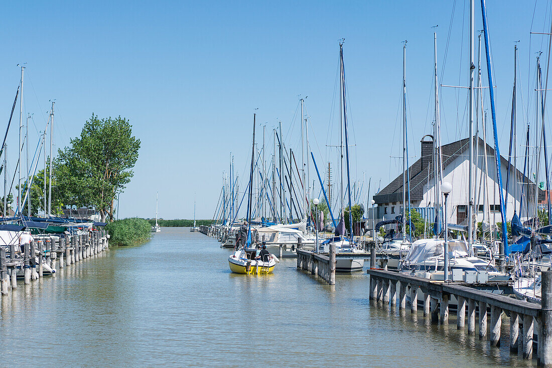 Small harbor in Mörbisch on Lake Neusiedl in Burgenland, Austria