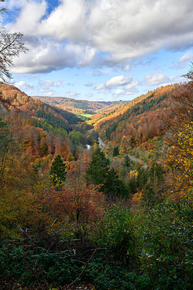 Indian summer in the autumn whale near Rengsdorf, Rhineland-Palatinate, Germany