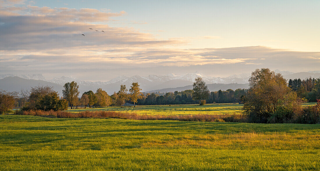 Sonniger Oktoberabend im Weilheimer Moos, Weilheim, Bayern, Deutschland