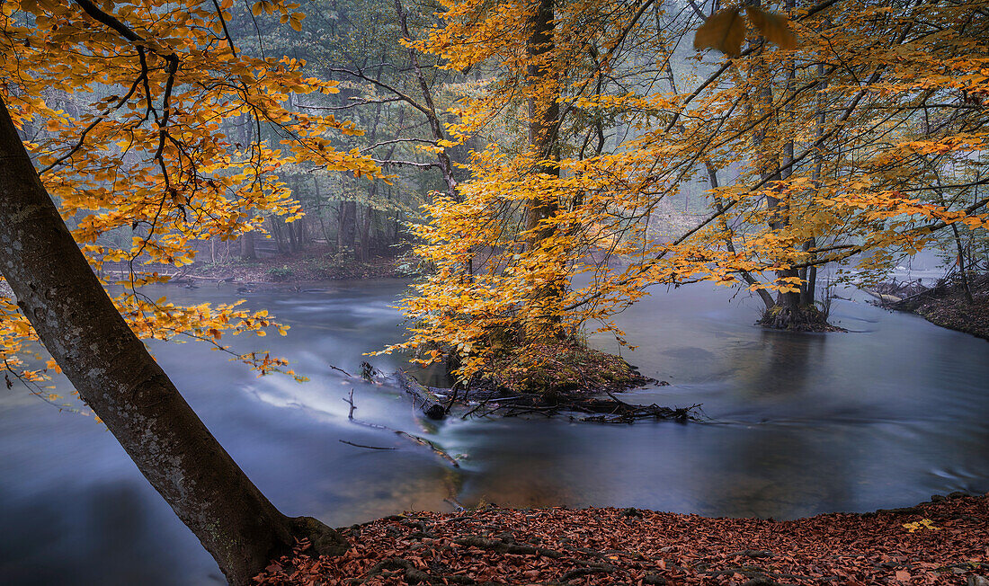 Nebeliger Herbstmorgen an der Würm, Leutstetten, Starnberg, Bayern, Deutschland