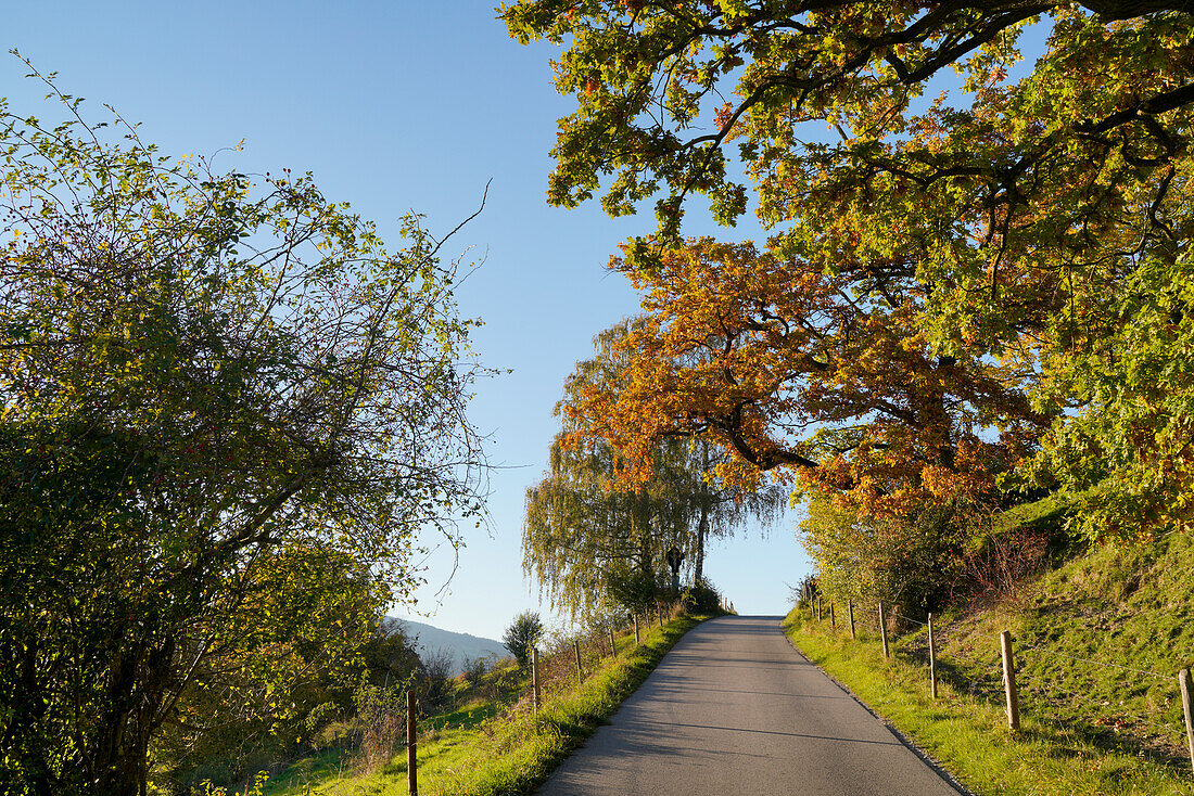 Small country road near Peissenberg in October, Bavaria, Germany