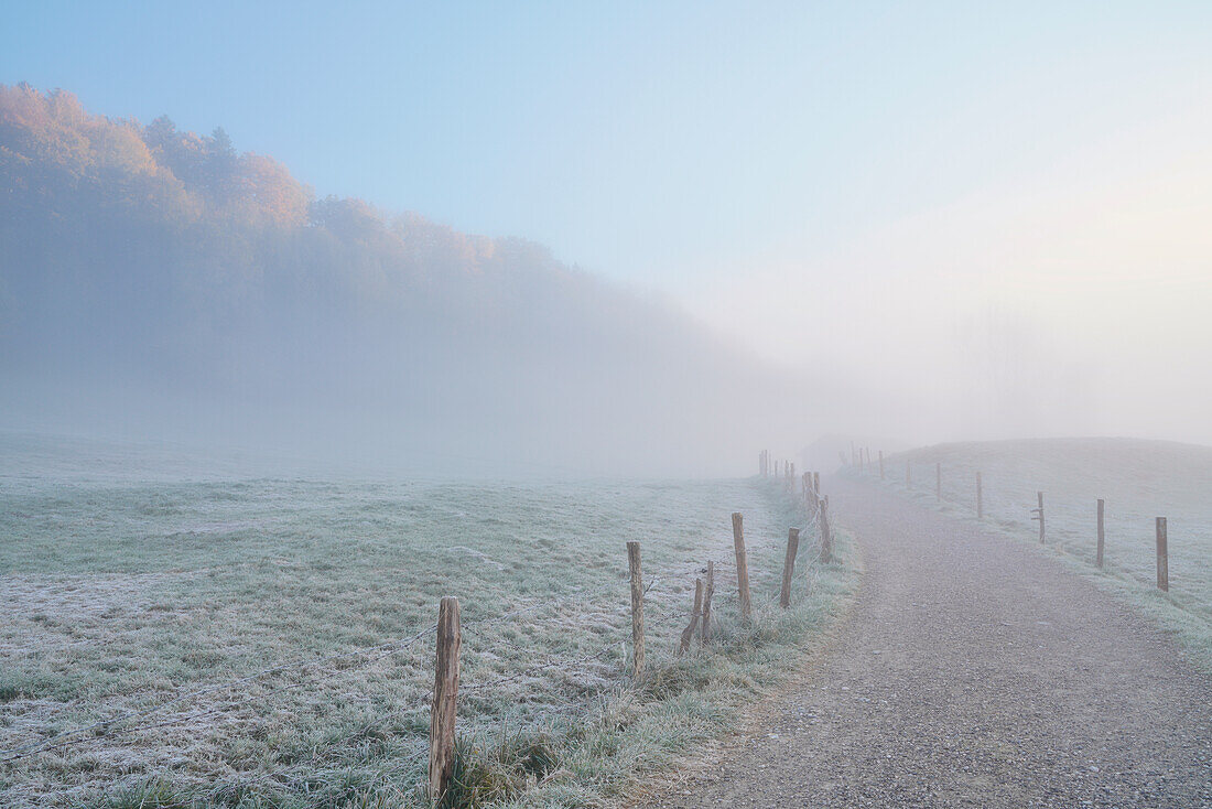 Mysterious foggy morning in the Murnauer Moos in autumn, Murnau, Bavaria, Germany, Europe