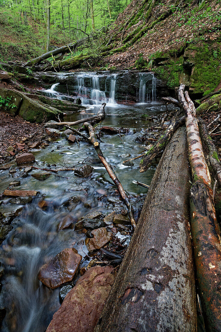 Shortly after heavy rainfall in the Kaskadenschlucht, Rhoen, Hesse, Germany.