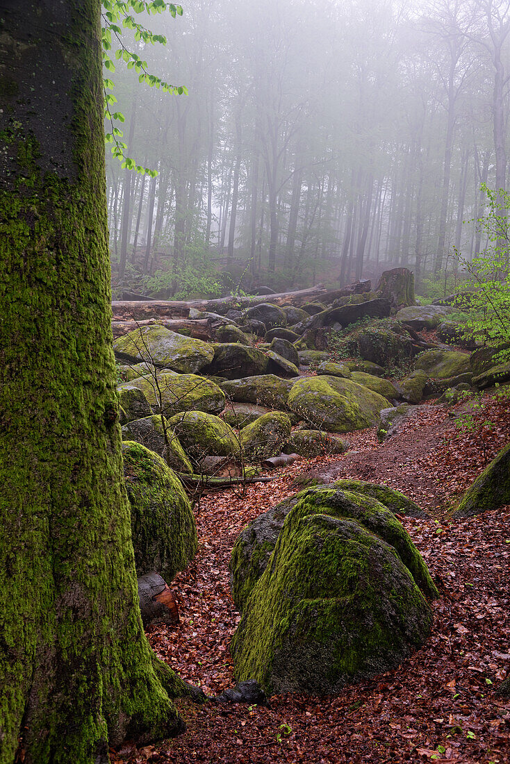 Der Mythos der Riesen Steinbeißer und Felshocker lebt weiter. Felsenmeer, Lautertal, Odenwald, Hessen, Deutschland