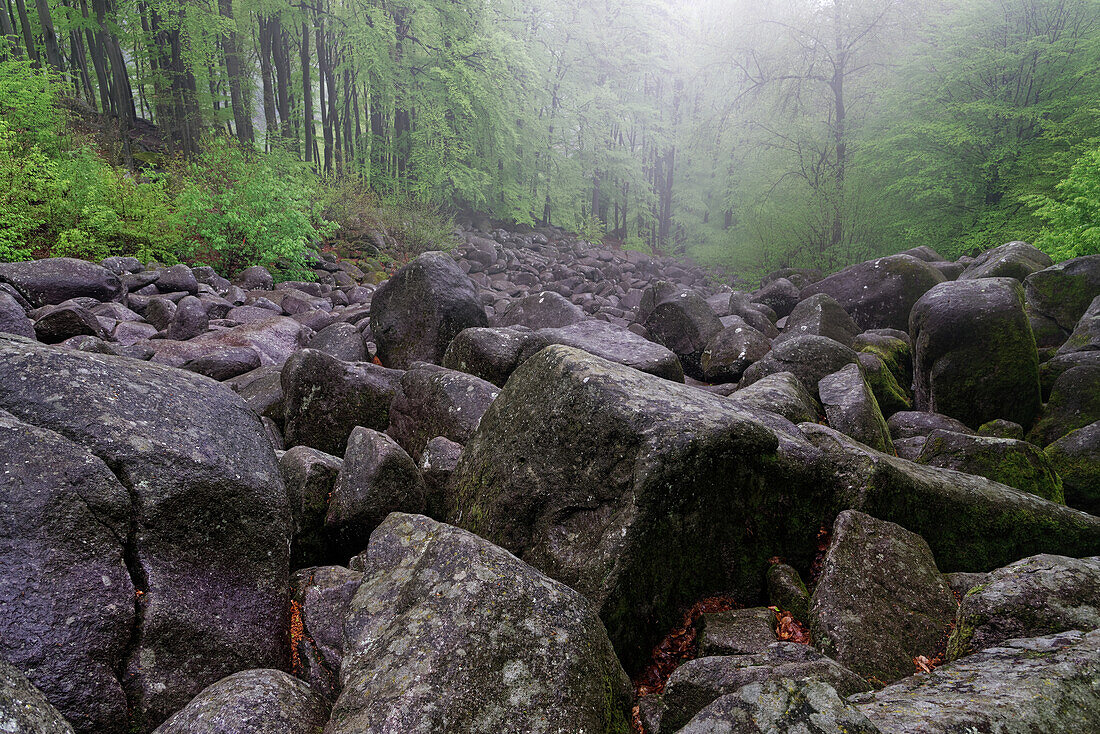 Fog rises from the Lautertal. Fantastic rainy day in Felsenmeer, Reichenbach, Odenwald, Hesse, Germany.