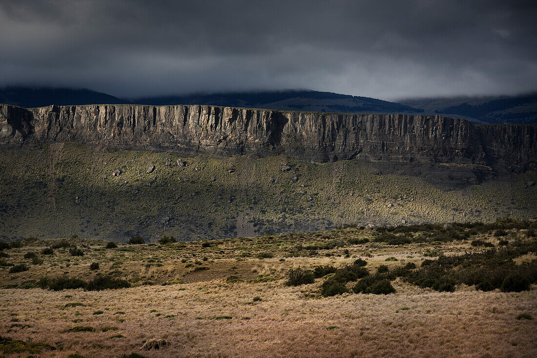 Tafelberg in Patagonien, Chile, Südamerika
