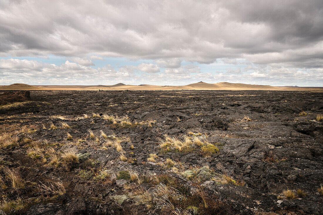 Lava rock, Pali Aike Volcanic Field National Park, Patagonia, Santa Cruz Province, Chile, South America