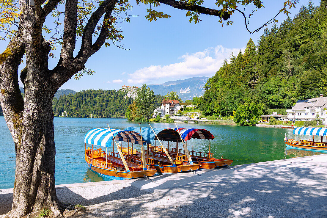 Bled; Bleder See; Blejski Grad; Pletna-Ruderboote; Pfarrkirche Sveti Martin, Slowenien