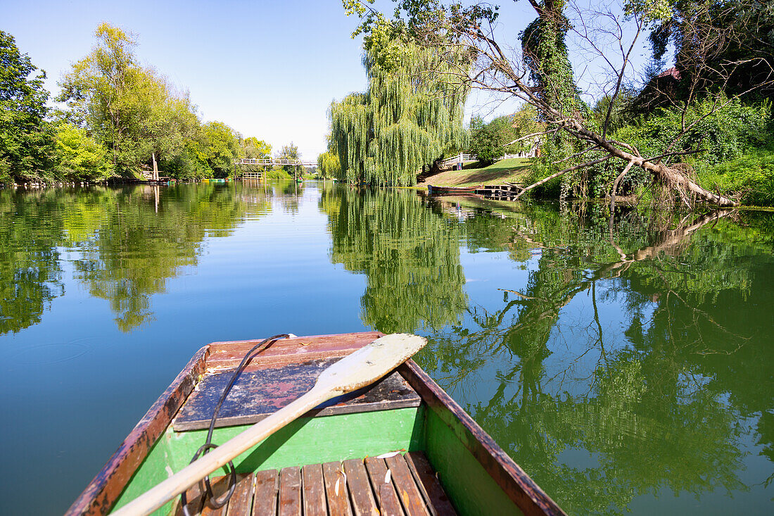 Kostanjevica on Krki; krka; Flow; rowing boats