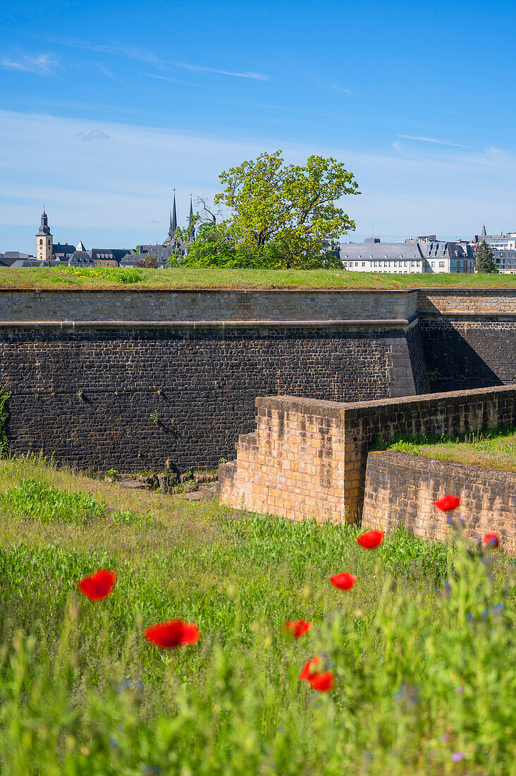 Festung Obergrünewald, Luxemburg, Großherzogtum Luxemburg