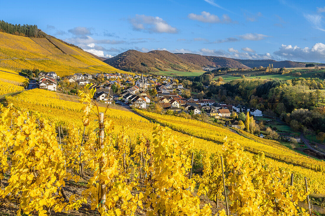 Blick auf das Weindorf Okfen, Saartal, Rheinland-Pfalz, Deutschland