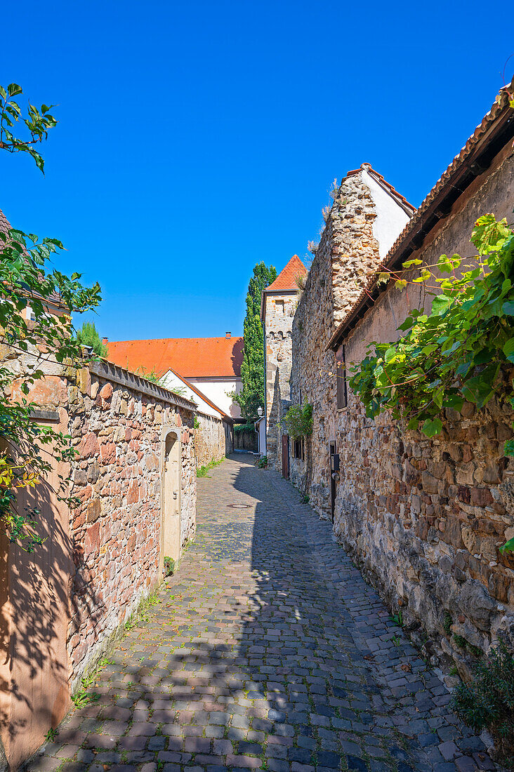 Stadtmauer in Freinsheim an der Deutschen Weinstrasse, Rheinland-Pfalz, Deutschland