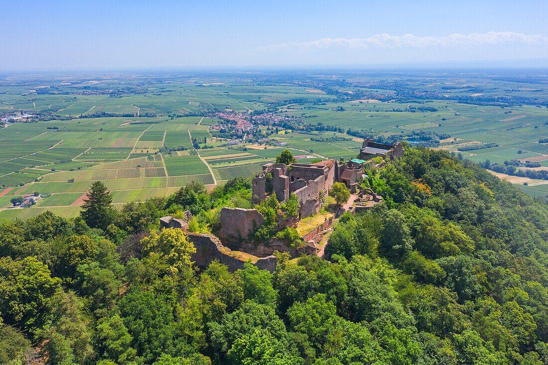 Aerial view of Madenburg near Eschbach, Palatinate Wine Route, Rhineland-Palatinate, Germany