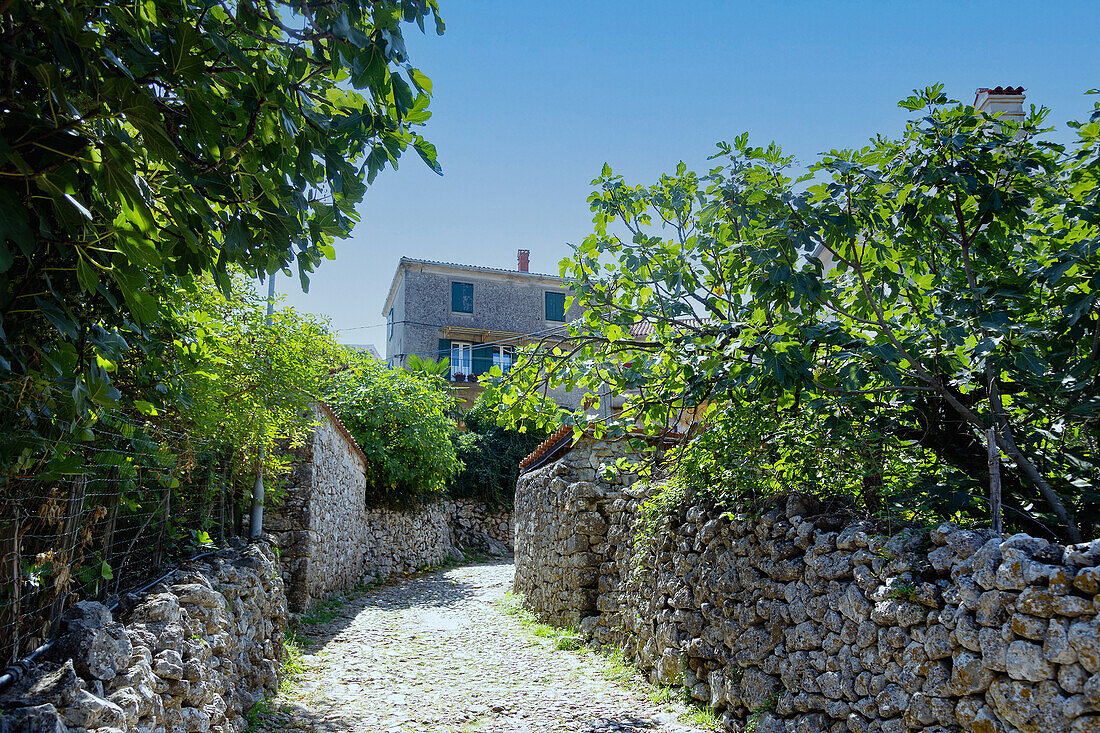 Beli; island of Cres; Alley with quarry stone walls