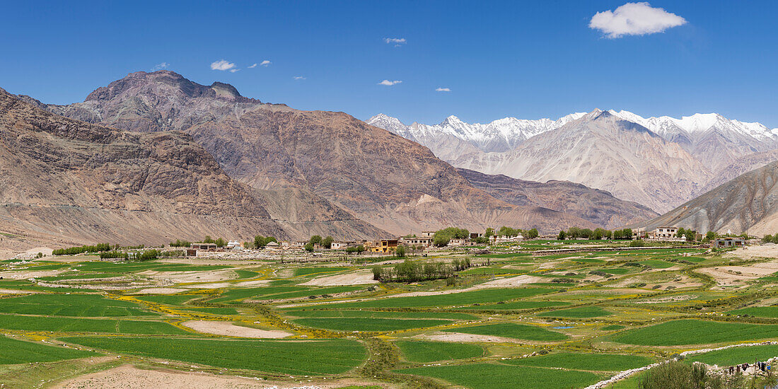Khardung, Nubra-Tal, Ladakh, Jammu und Kaschmir, Indischer Himalaya, Nordindien, Indien, Asien