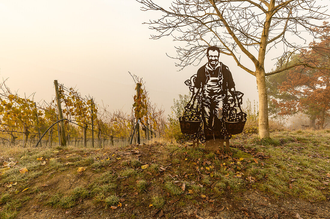 Nebelige Morgenstimmung in den Weinbergen bei Sommerhausen, Würzburg, Unterfranken, Franken, Bayern, Deutschland, Europa