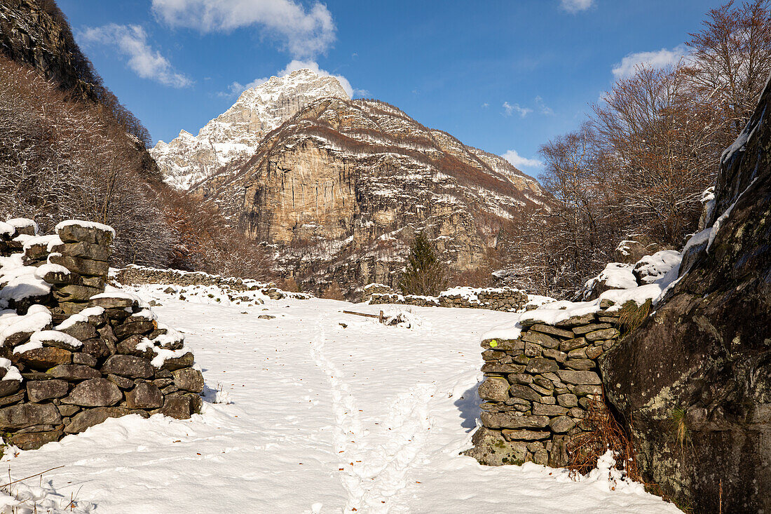 Herrlicher Wintertag im Tessin, Brione, Tessin, Schweiz, Europa