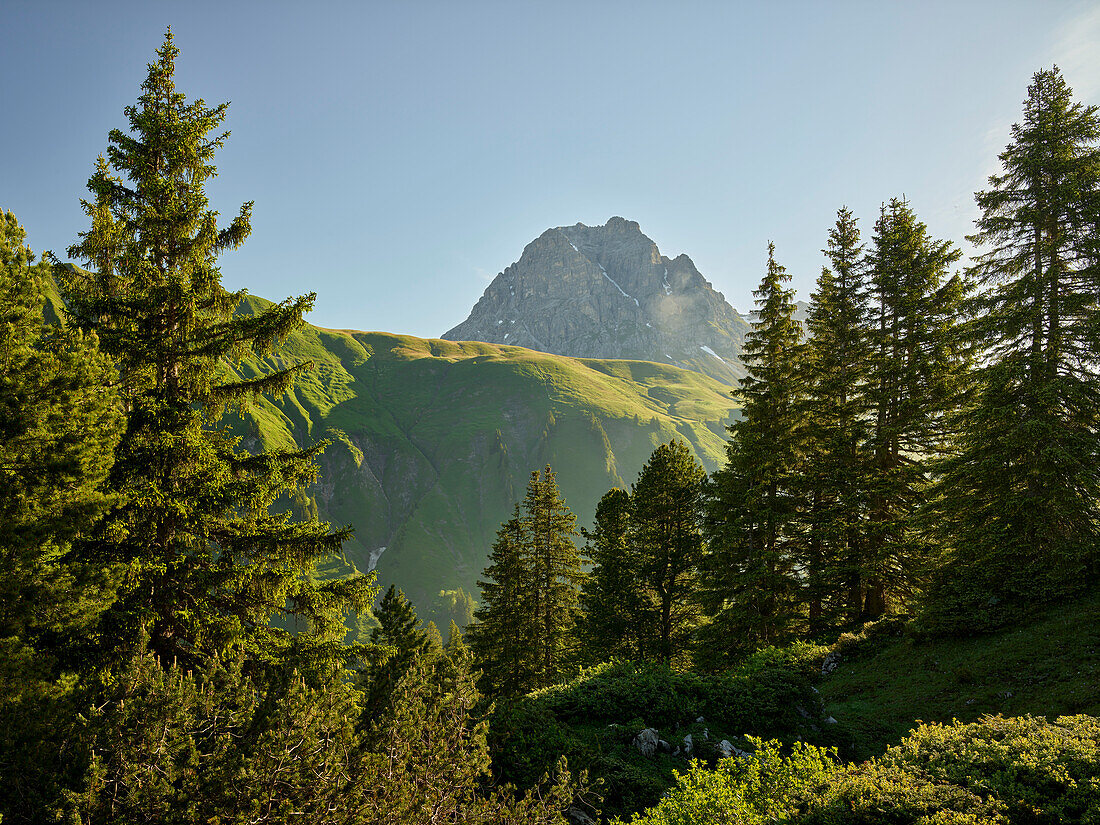 Widderstein, Hochtannberg Pass, , Vorarlberg, Austria