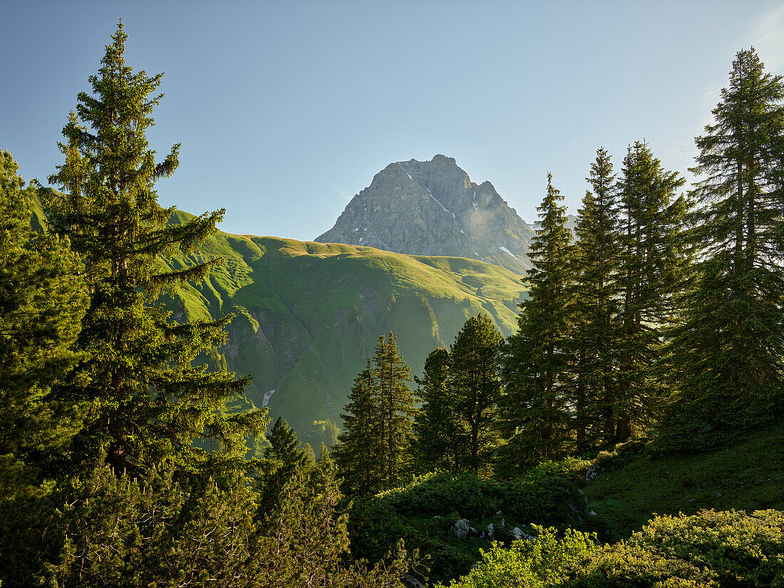 Widderstein, Hochtannbergpass, , Vorarlberg, Österreich