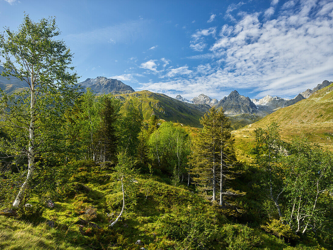 Silvretta Group, Großvermunt, Bielerhöhe, Vorarlberg, Austria