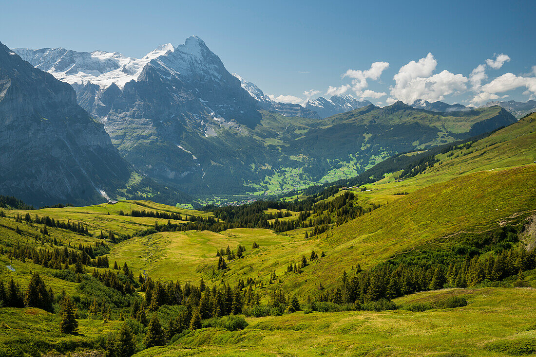 Eiger from Alp Grindel, Grindelwald, Bernese Oberland, Switzerland