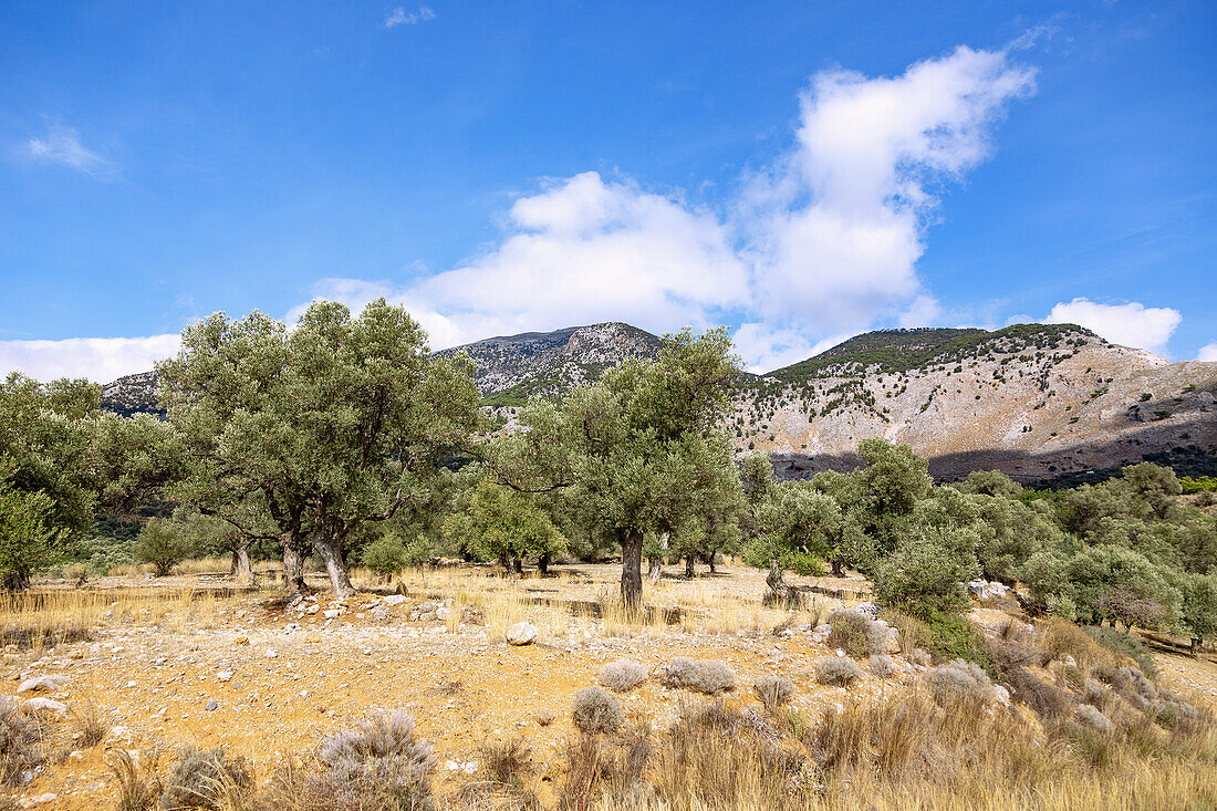 Nida-Hochebene bei Zaros, griechische Insel, Kreta, Griechenland