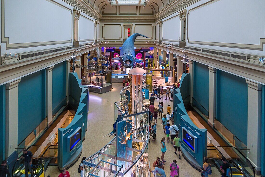 Washington DC, National Mall, National Museum of Natural History, The Sant Ocean Hall