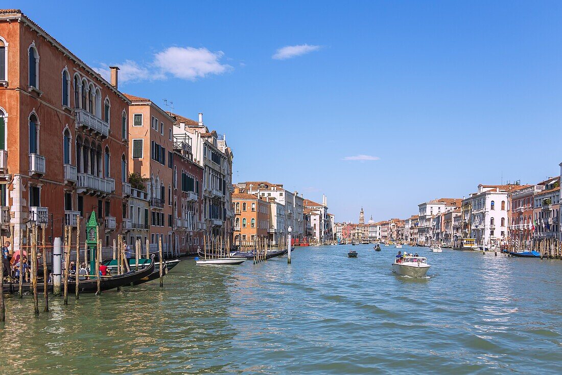 Venedig, Canal Grande, Blick von San Tomà Richtung Ponte di Rialto, Venetien, Italien