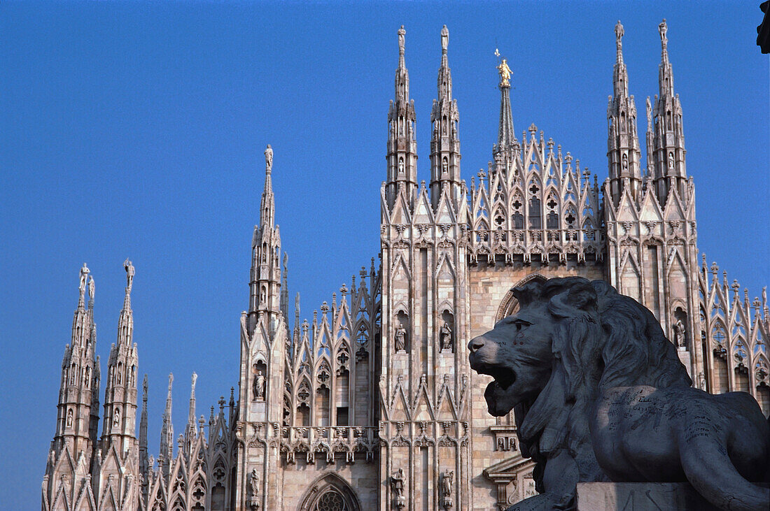 Lion statue in front of a cathedral, Duomo Di Milano, Milan, Lombardy, Italy