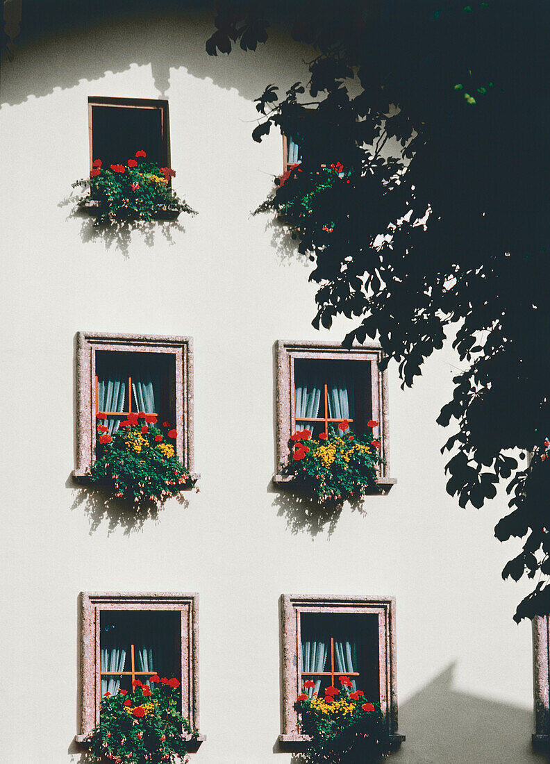 Balkonkästen an Fenstern eines Wohnhauses, Kitzbühel, Tirol, Österreich