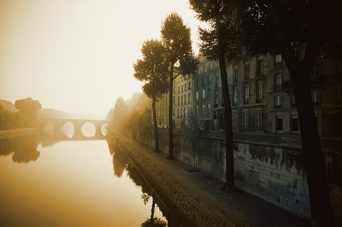 Early morning fog along the Seine River, Paris, Ile-de-France, France