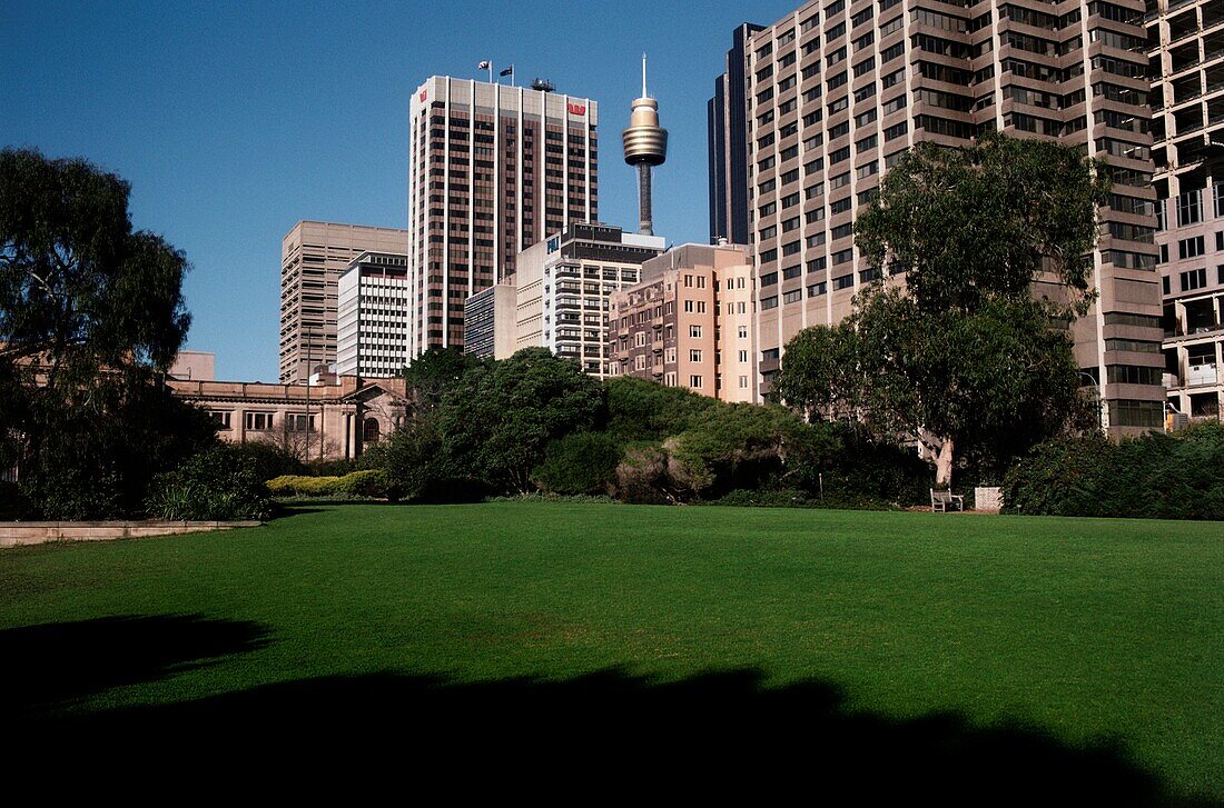 Turm in einer Stadt, Centrepoint Tower, Sydney, New South Wales, Australien