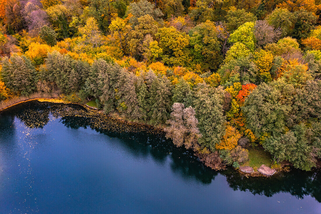 Herbstliche Luftaufnahme eines bunten Waldstücks an einem blauen See in Hessen, Deutschland