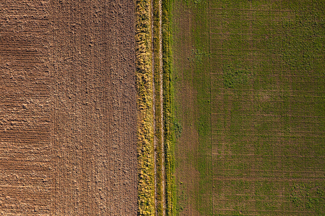 Ein gepflasterter Feldweg trennt einenAcker und ein frisch bestelltes Feld in Hessen, Deutschland