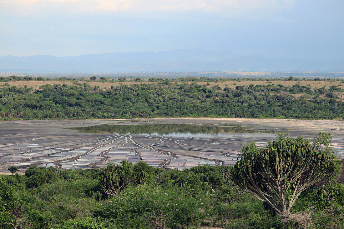 Uganda; Western Region; Queen Elizabeth Nationalpark bei Kasenyi; Blick auf die Salzpfannen des Bunyampaka Sees; Salzgewinnung