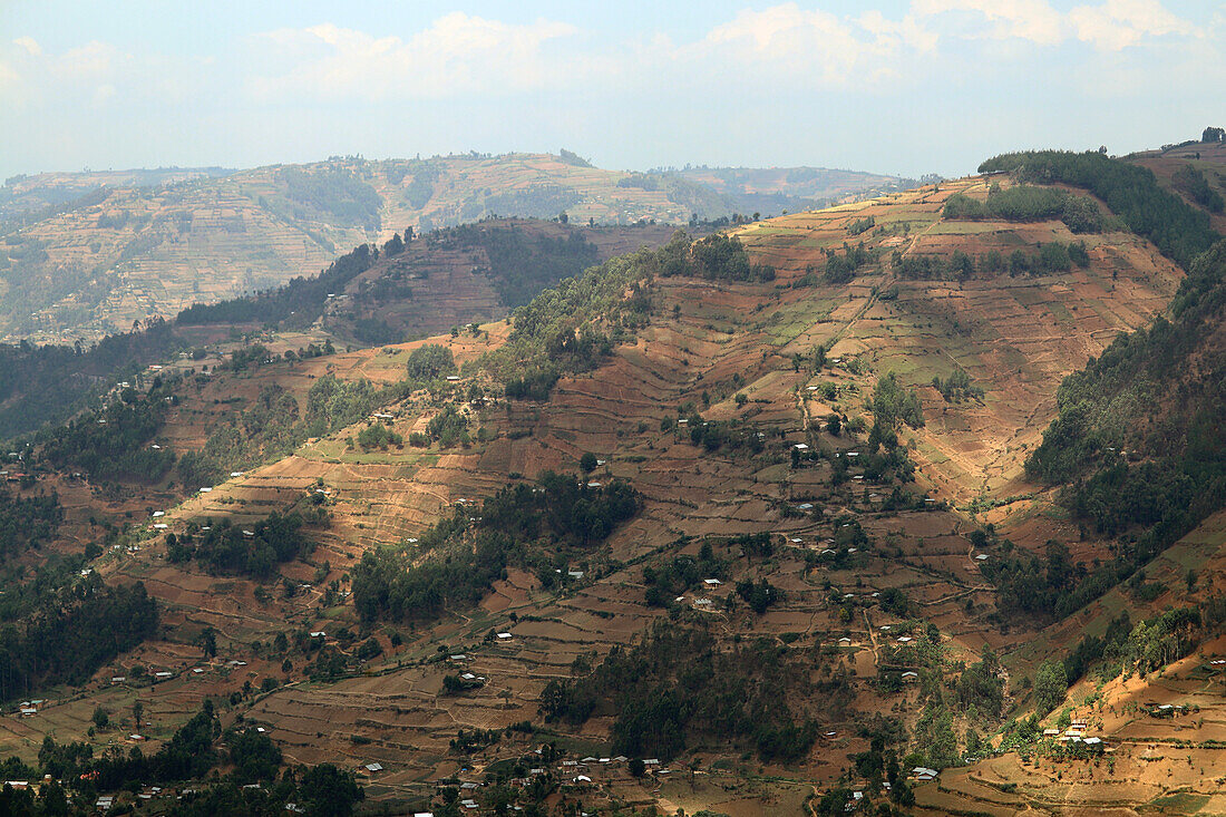 Uganda; Western Region; südlicher Teil; Terrassenfeldbau in der Nähe des Bwindi Impenetrable Forest Nationalpark