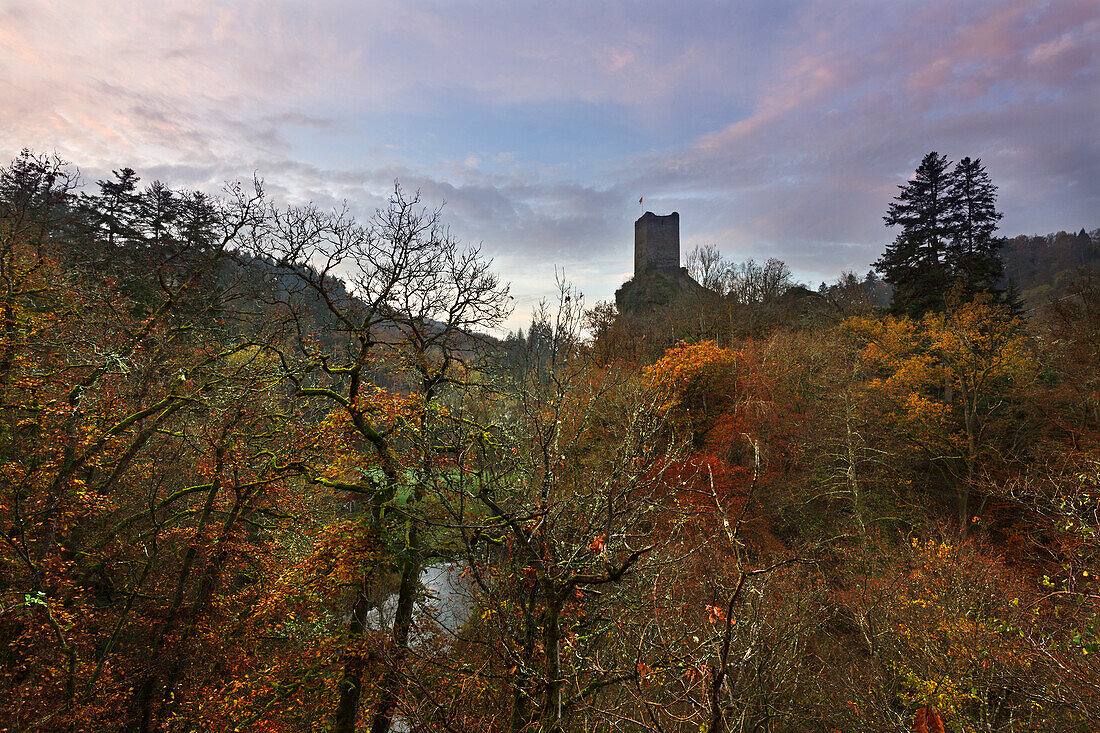 Niederburg, Lieserpfad, Eifelsteig, near Manderscheid, Eifel, Rhineland-Palatinate, Germany