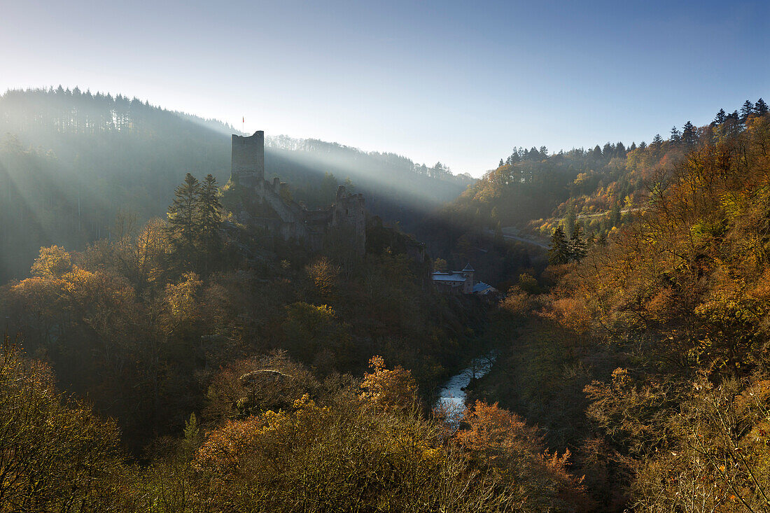 Niederburg, Lieserpfad, Eifelsteig, near Manderscheid, Eifel, Rhineland-Palatinate, Germany