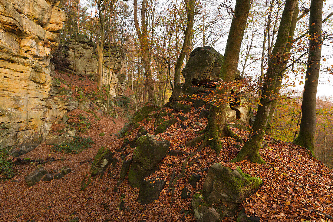 Sandstone rocks in the Teufesschlucht, Eifel, Rhineland-Palatinate, Germany