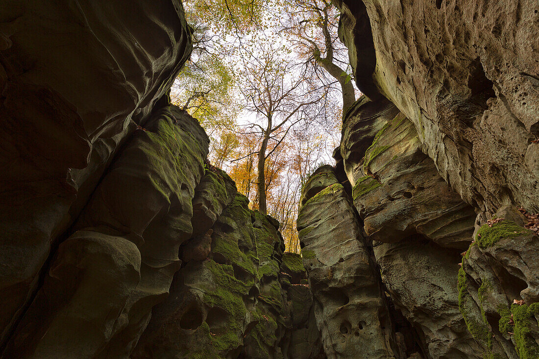 Sandstone rocks in the Teufesschlucht, Eifel, Rhineland-Palatinate, Germany