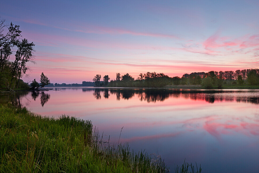 Morning mood at an oxbow lake of the Rhine, Lower Rhine, North Rhine-Westphalia, Germany