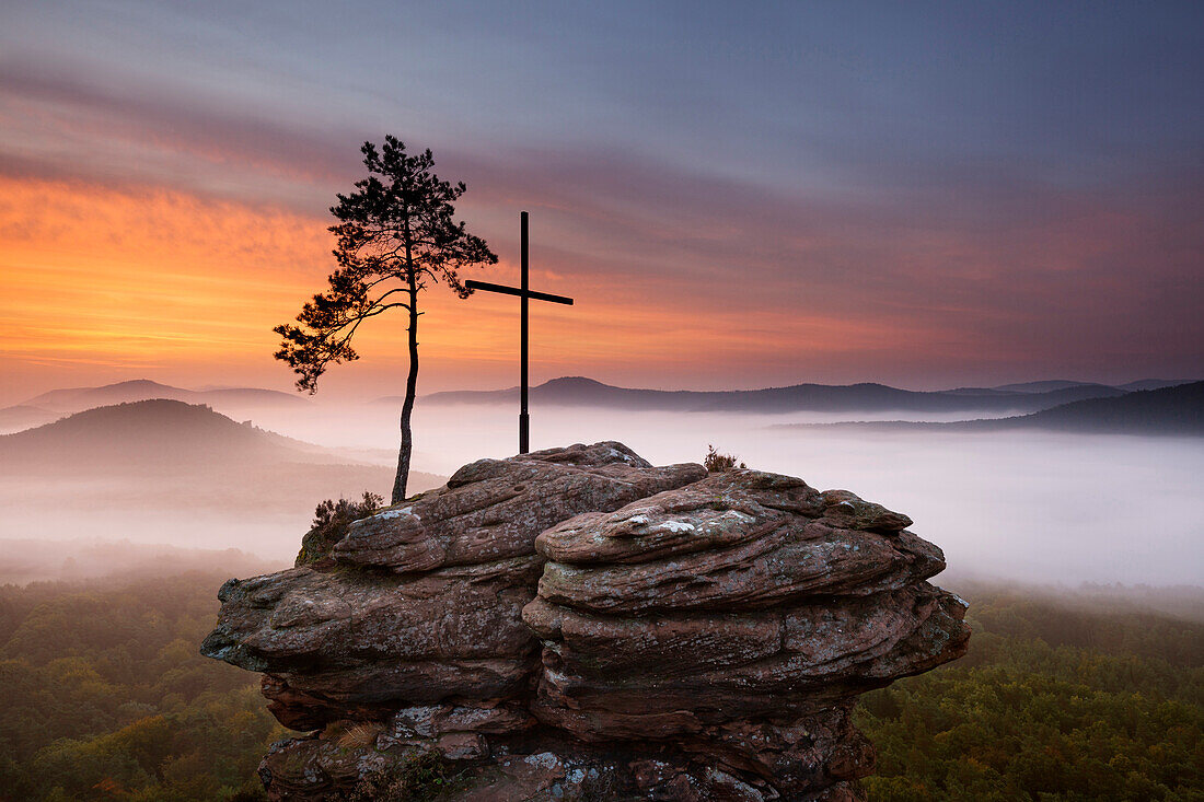 Morning mist, pine tree and cross on the sandstone cliffs, Dahner Felsenland, Palatinate Forest, Rhineland-Palatinate, Germany