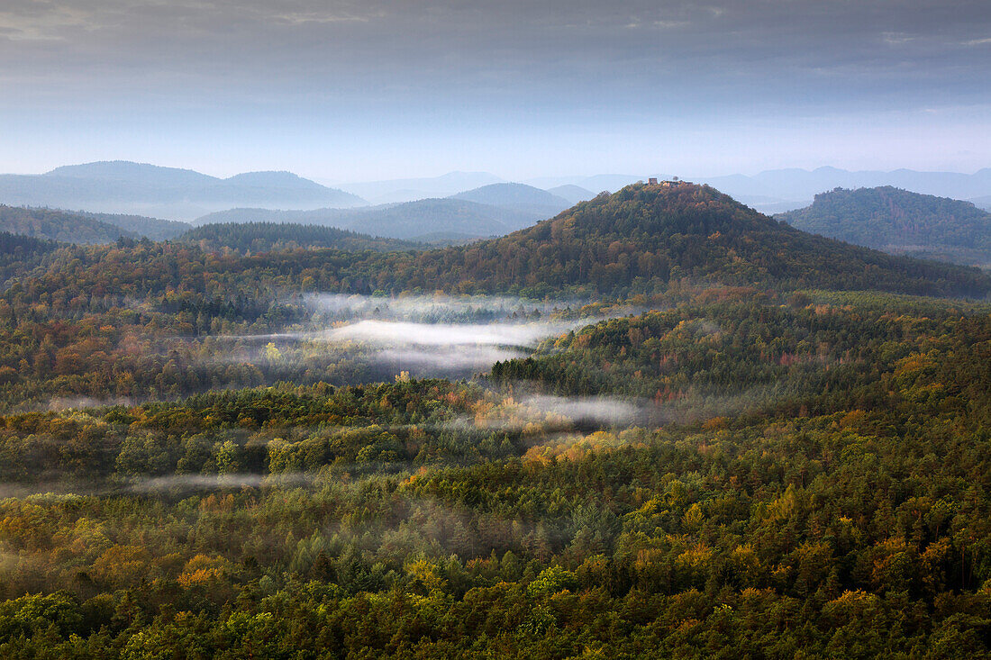 Morning mist, Lindelbrunn Castle, Dahner Felsenland, Palatinate Forest, Rhineland-Palatinate, Germany