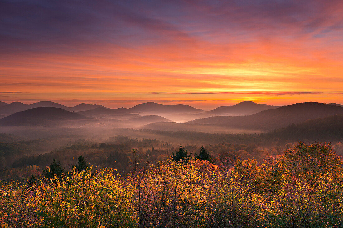 Morning mist, Dahner Felsenland, Palatinate Forest, Rhineland-Palatinate, Germany