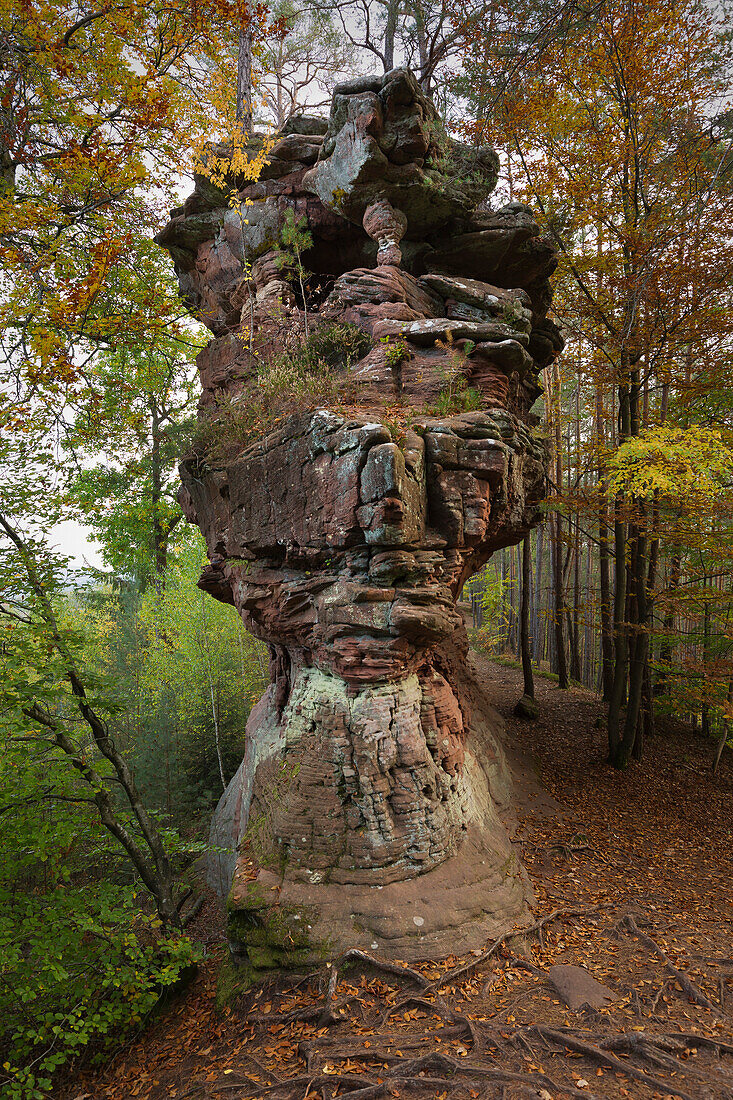 Sandstone rocks, Dahner Felsenland, Palatinate Forest, Rhineland-Palatinate, Germany